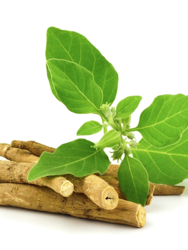 The Best Time to Take Ashwagandha: Everything You Need to Know